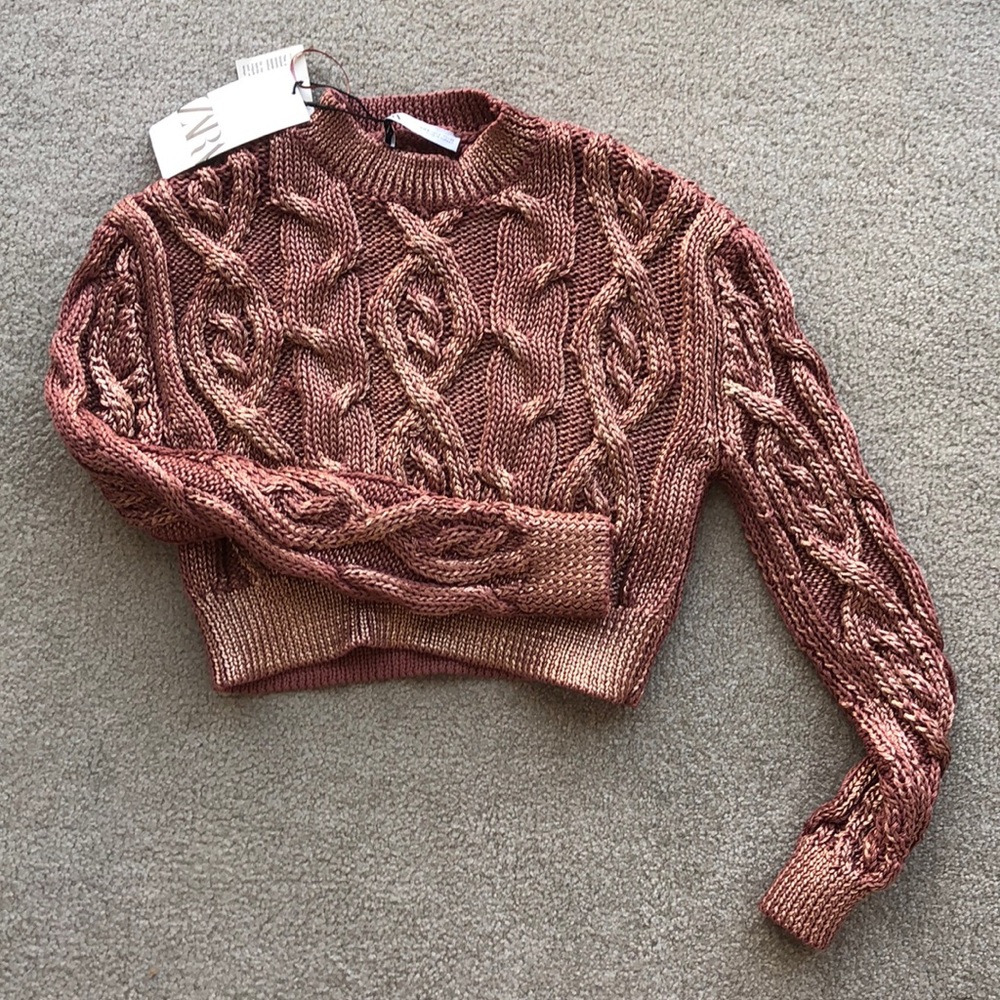 Zara Metallic Sweater ✨